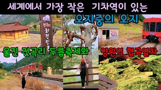 울진 전곡리 두릅축제 2023 그리고 가장 작은 기차 간이역 양원역 - 오지중의 오지 전곡리와 협곡열차가 정차하는 가장 작은 기차역 양원역의 아름다운 풍경