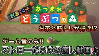 筋トレとお茶が好き!? ストローだらけの5分間♪ あつ森のBGMだけで究極の癒し!!【密着24時 ストロー編 あつまれどうぶつの森】