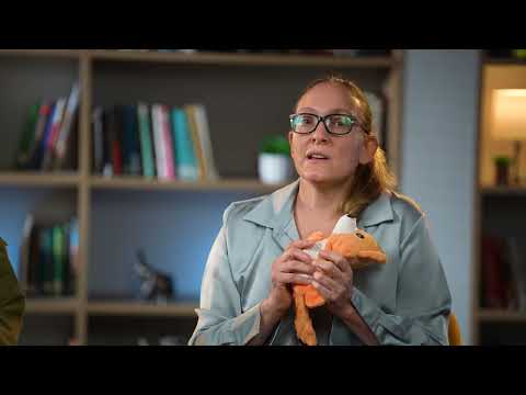 מוכנות מערכת הבריאות בזמן מבצע שאגת הארי