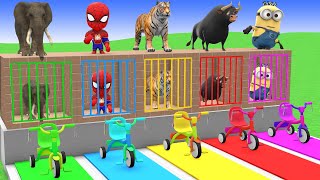 Download lagu Long Slide Game with Cow Elephant Gorilla Hippopotamus Tiger 3d Animal Game Funny 3d Animals mp3 Download lagu Long Slide Game with Cow Elephant Gorilla Hippopotamus Tiger 3d Animal Game Funny 3d Animals mp3