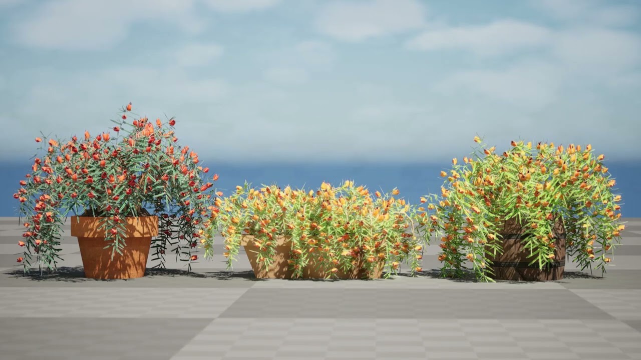 Wino Lotosu Model 3D