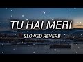 Tu Hai Meri Slowed Reverb Sachet Parampara Varun Dhawan Janhvi Kapoor Sanya Malhotra