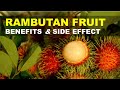 Rambutan Fruit Benefits And Side Effects Rambutan Rich In Nutrients And Antioxidants