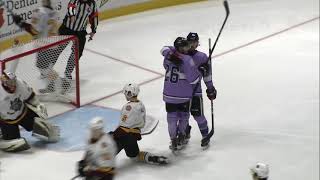 Wolves vs. IceHogs | Nov. 29, 2019