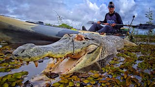 NADA DO QUE EU DISSER PODERÁ EXPLICAR O QUE ACONTECEU AQUI... Pescaria.