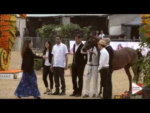 Most Beautiful Head Award - Class 2B - N. 46