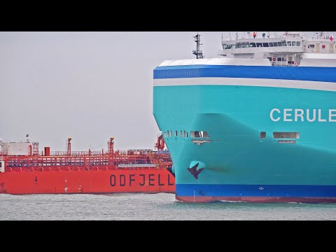 ROTTERDAM HARBOR VIEW - LARGE SHIPS UP CLOSE - 4K SHIPSPOTTING ROTTERDAM 2025