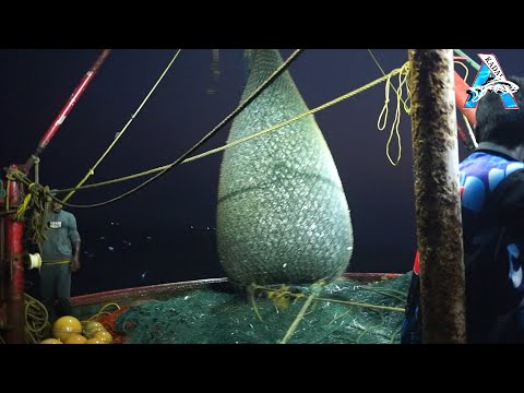 Amazing Automatic Longline Fishing Net Catch Giant Fish - Awesome big catching  @FISH_TV