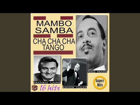 Mambo n.8
