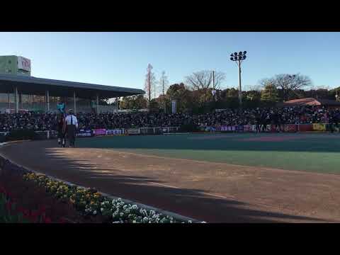 2017.12.29 大井🐎10R 第63回 東京大賞典競走（GI）パドック
