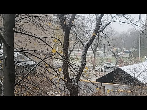 First Snow Live MN 2021