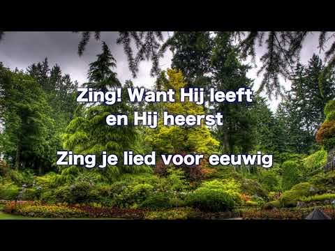 Opwekking 873 Duizend hallelujas