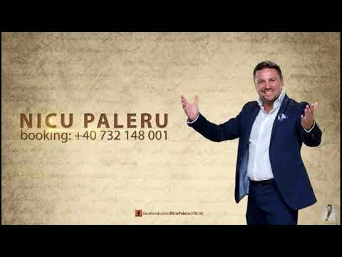 Nicu Paleru & Play AJ - Toata lumea se intreaba (Eu sunt Nicu)