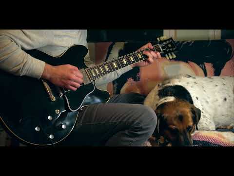 a good boy falls asleep listening to this semi-hollow ES-335