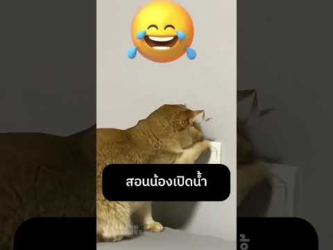 สอนน้องเปิดน้ำ