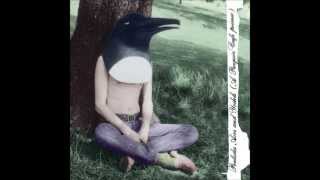Penguin Café Orchestra - Music For A Found Harmonium (432 Hz)