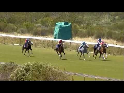 INTREPID - Kenilworth 20/1/21