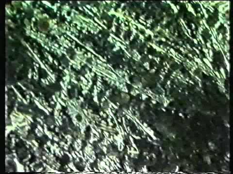 Metallography Part II