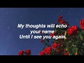 Enchanted - Taylor Swift [Lyrics]