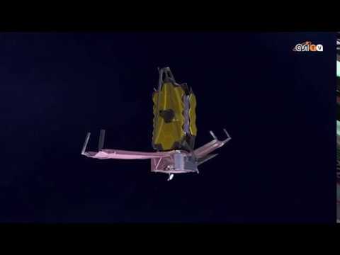 Come un fiore che sboccia