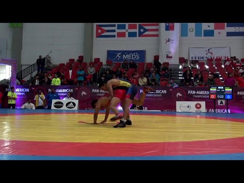 Qualification FS - 61 kg: Wilmar HERNANDEZ (COL) df. Danny NARANJO (ECU) by TF, 10-0