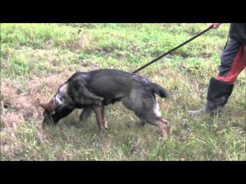 Hesi Zde-Sko - 5 moonths