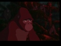 Tarzan One Family