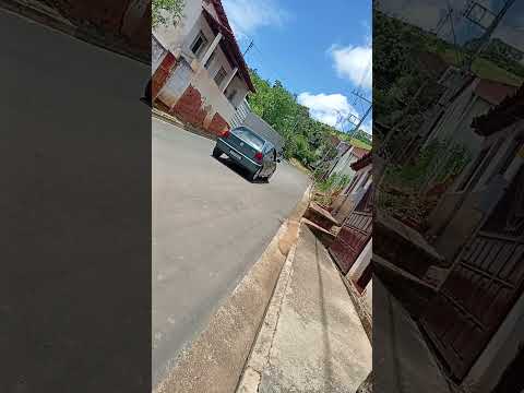 o representador de entre folhas mg golzinho