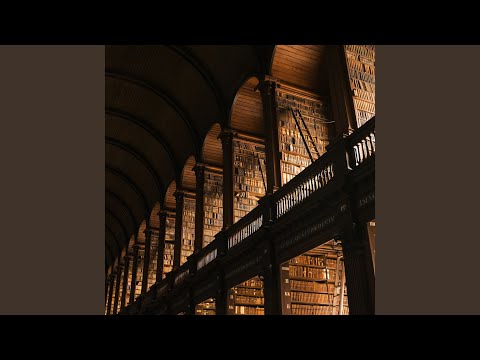 The Hidden Library
