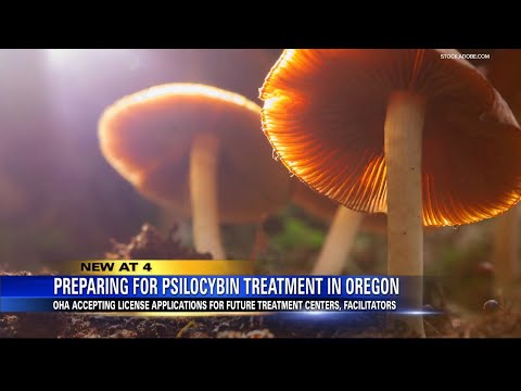 Preparing for psilocybin treatment in Oregon