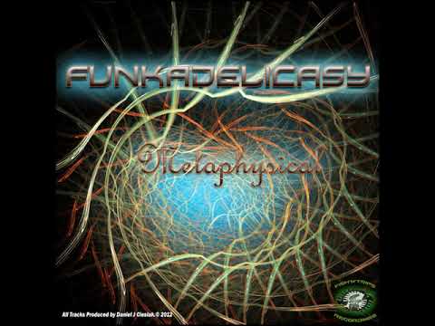 04 Funkadelicasy - Metaphysical