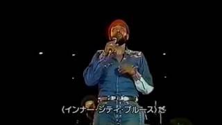 Marvin Gaye - LIVE Inner City Blues 1974