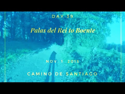 Day 39 Palas del Rei to Boente