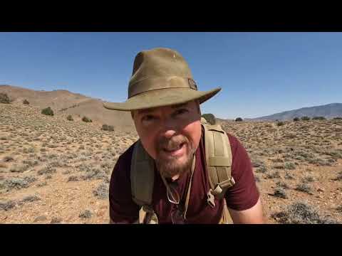 The Real Reason Gold Gets Missed in Plain Sight