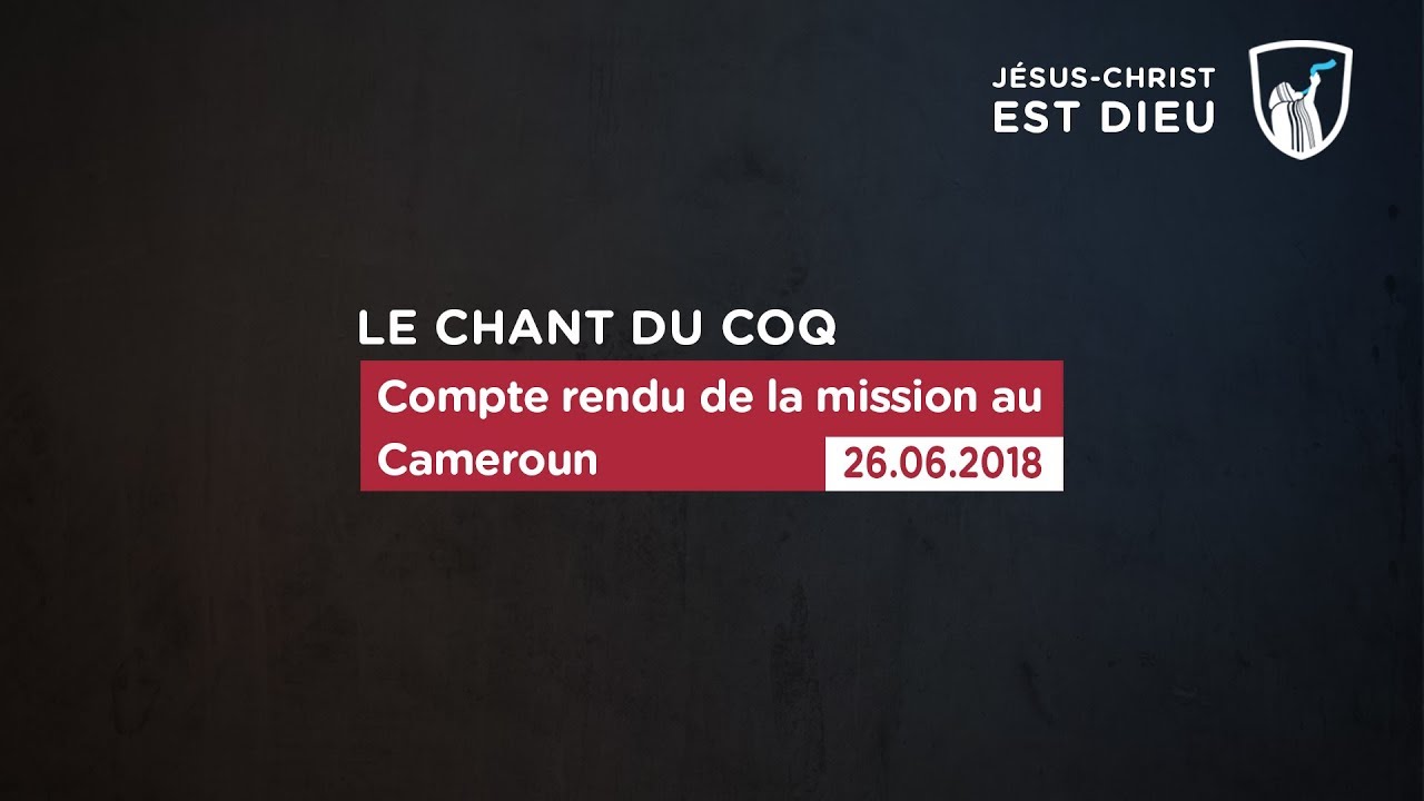 Thumbnail of video: Compte rendu de la mission au Cameroun