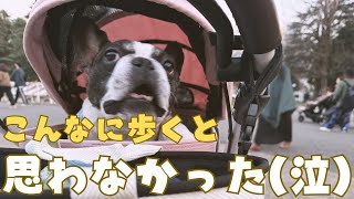グッズを買いに行ったら大変だった😅