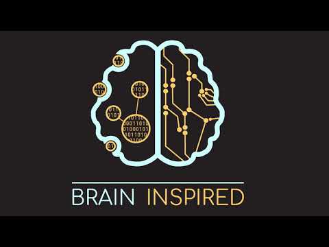 BI 075 Jim DiCarlo: Reverse Engineering Vision