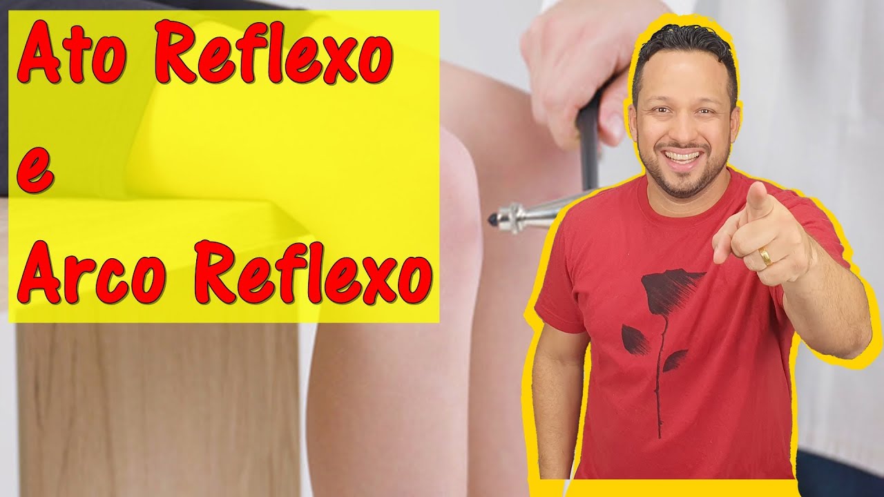 Ato Reflexo e Arco reflexo - Definições e Diferenças - Sistema Nervoso - Fisiologia Humana