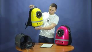 10 крутых подарков для кошек и их владельцев