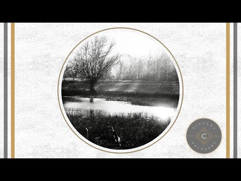 "Canto Al Sol" - Seba Campos