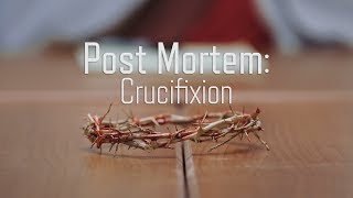 Post Mortem: The Crucifixion of Christ