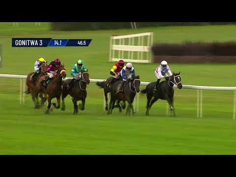 Gonitwa 3 - 02.08.2025