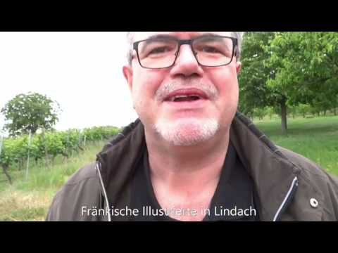 Lindach das versteckte Paradies am Main