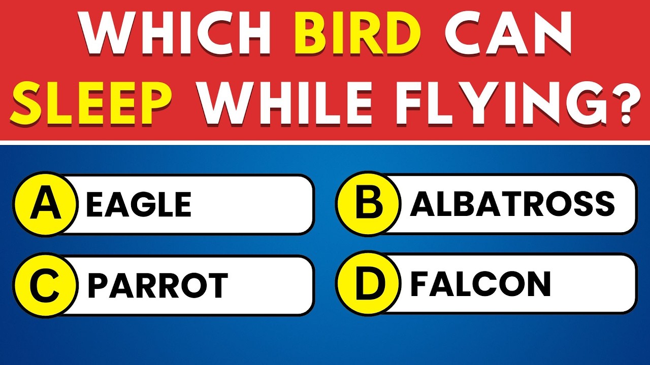 Can You Score 20/30 on This General Knowledge Quiz? 🧠 Ultimate Trivia Challenge! 📚