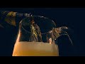Budweiser Beer Weekend Mood D Robertson Calist