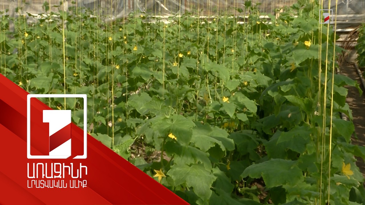 Ֆիզանձը չի կարողանա ՀՀ-ից միրգ-բանջարեղեն արտահանել. ՍԱՏՄ-ն խստացնում է հսկողությունը
