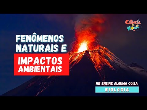 FENÔMENOS NATURAIS E IMPACTOS AMBIENTAIS - com Profa. Stéfani Diniz Teodoro
