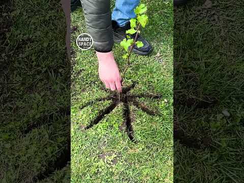 Farm Life Hack for Each and Every! #farming