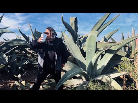 THIS IS HOW THE BEST PULQUE IN THE STATE OF MEXICO IS MADE - Lalo Elizarrarás