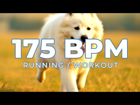 175 BPM Running & Workout Music Mix | 175 BPM Metronome Synced | 90 Min